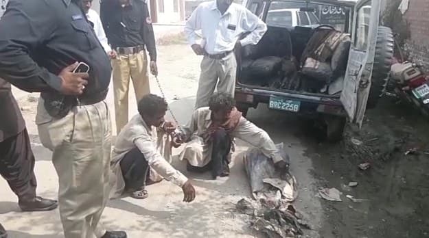 Image accompanying 50kg tortoise meat meant for Chinese nationals seized in Khanewal
