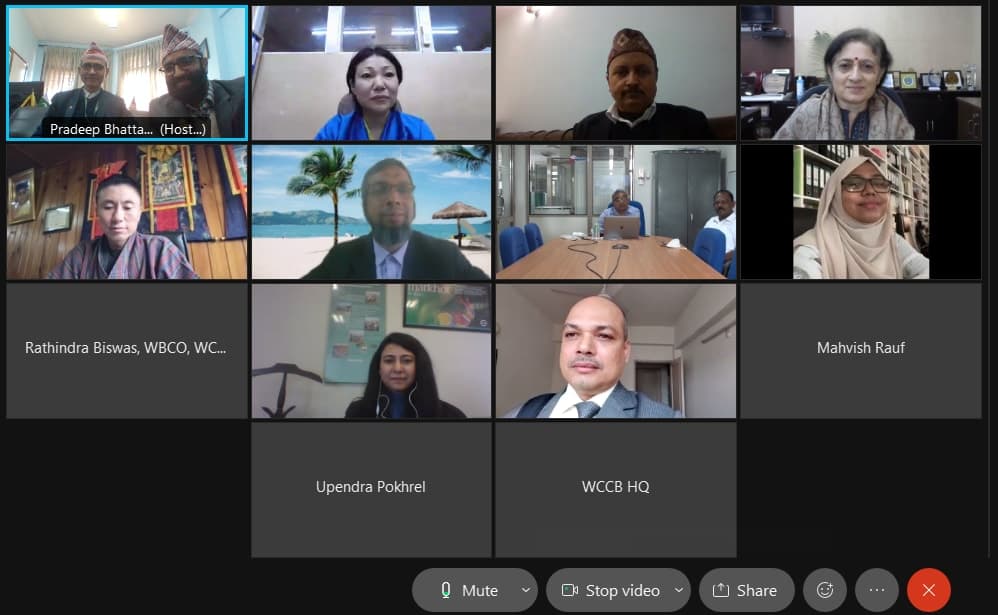 Image accompanying Eighth Executive Committee Meeting of SAWEN held virtually