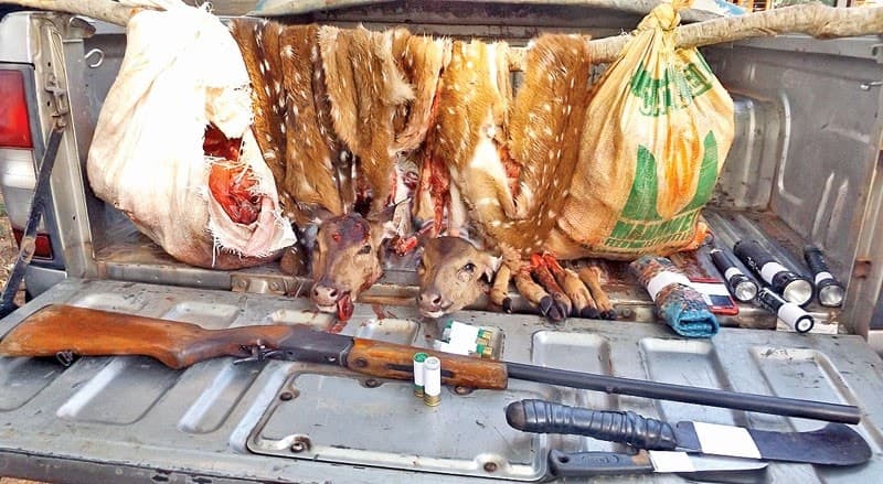 Image accompanying Criminal gang busted