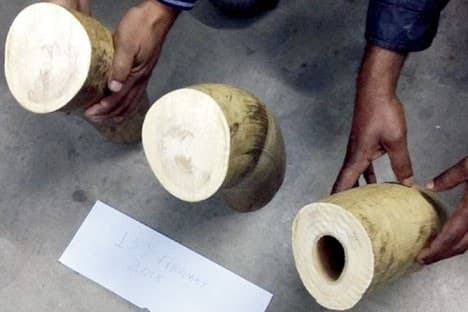 Image accompanying Two held with jumbo tusk