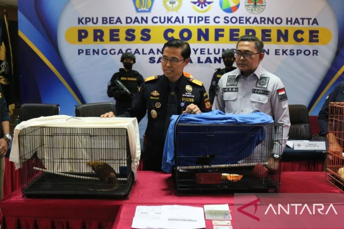 Image accompanying Customs arrested Bollywood film producer for smuggling rare animals