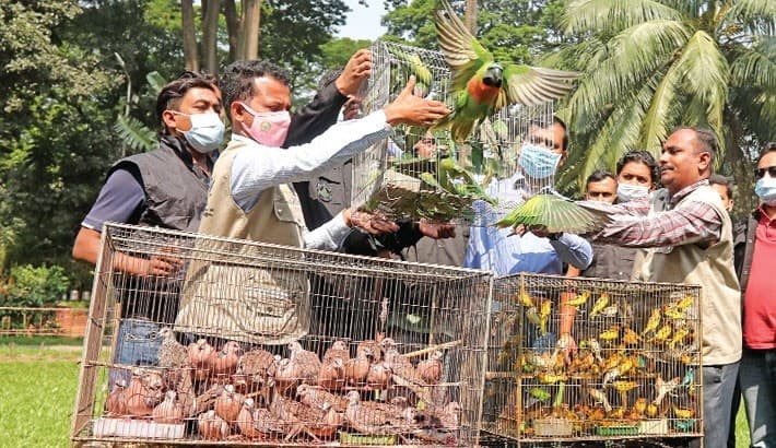 Image accompanying 710 birds rescued in Savar; four poachers jailed