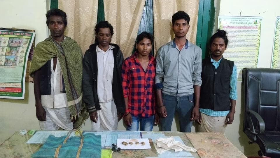 Image accompanying Forest officer poses as priest, nabs poachers